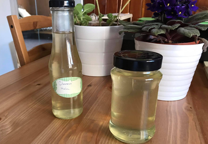 Citronová máta - Domácí sirup