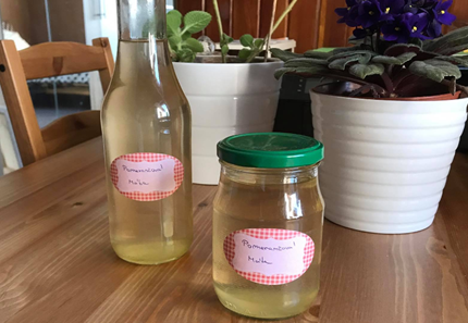 Pomerančová máta - domácí sirup