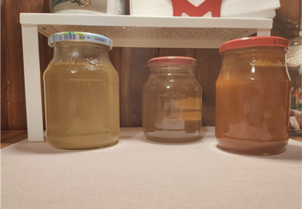Domácí sirup Meduňka