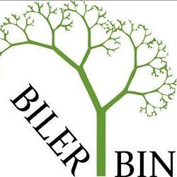 Bilerbin