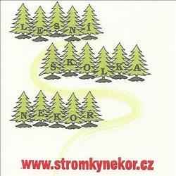 stromkynekor